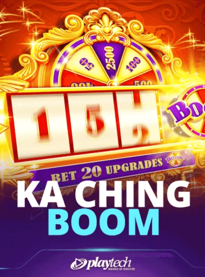 T20 cricket game cover